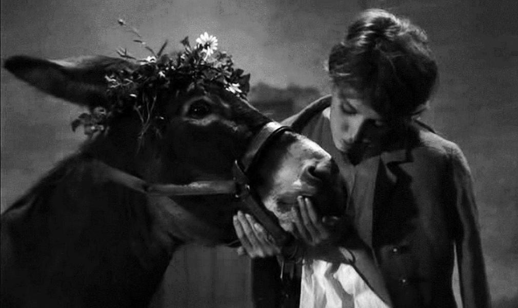 MASP Film Club | “Au hasard Balthazar” (1966), Director Robert Bresson