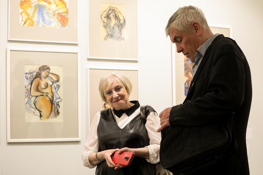 Guided Tour of the Current Exhibitions for Silver Age Visitors